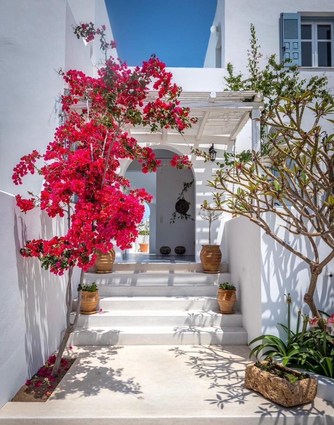 Anita Rooms & Suites Milos Adamantas  Zewnętrze zdjęcie